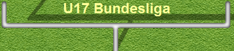 U17 Bundesliga